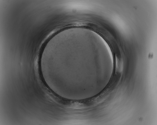 X0000102840387200809151109