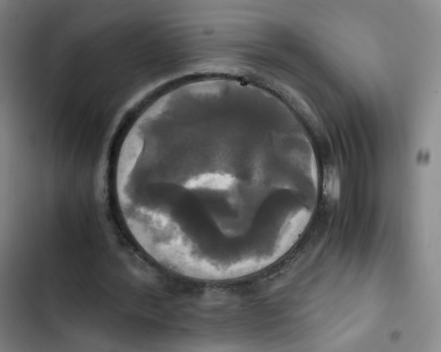 X0000102840388200809151109