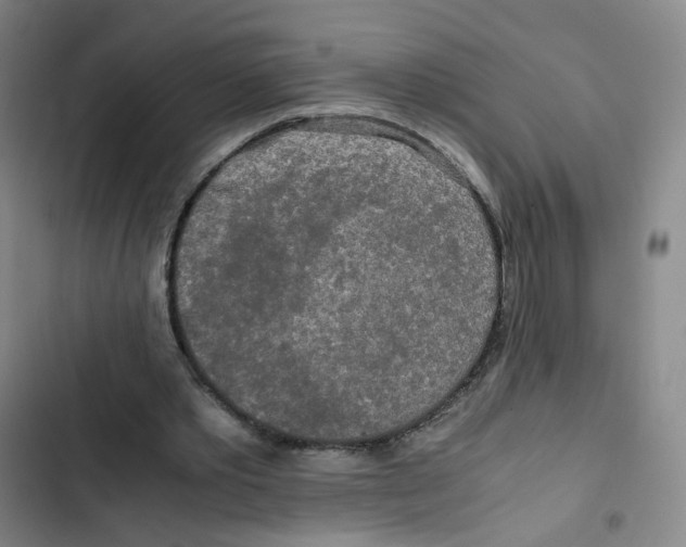 X0000102840389200809151109