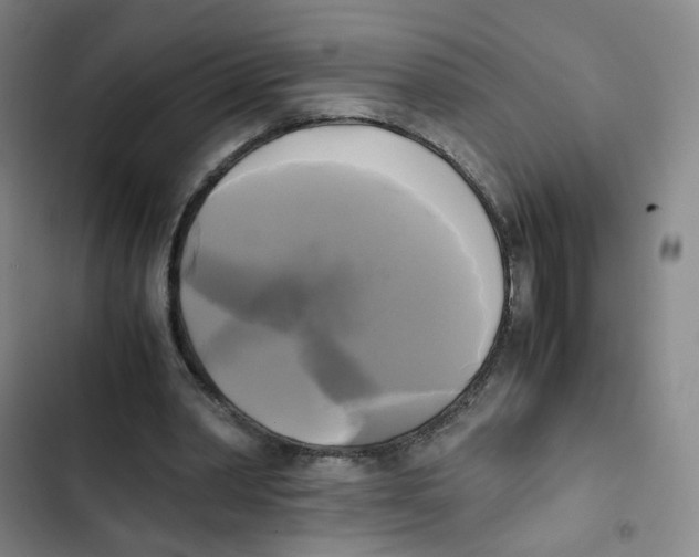 X0000102840390200809151109