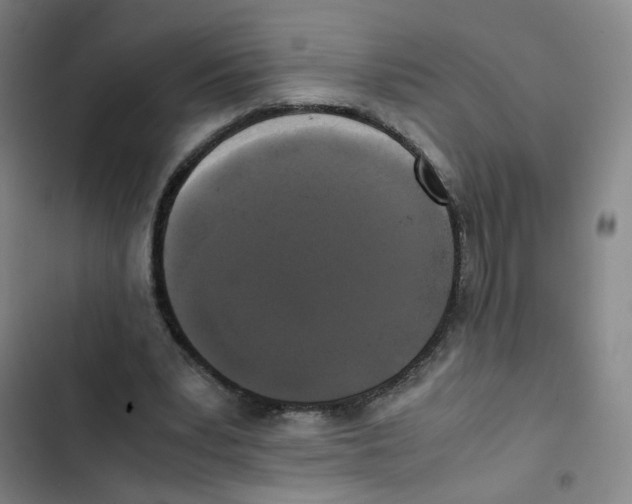 X0000102840391200809151109