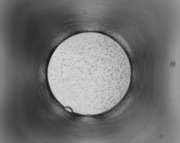 X0000102840393200809151109