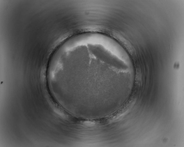 X0000102840394200809151109