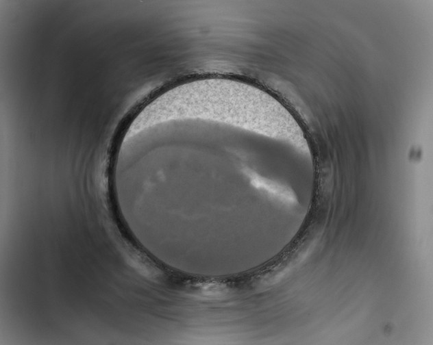 X0000102840395200809151109