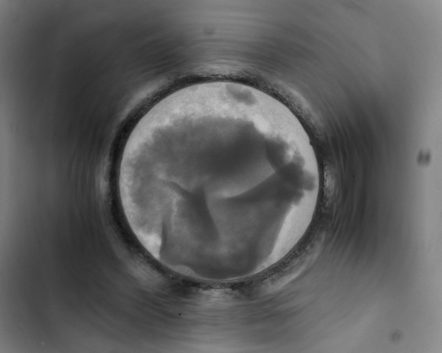 X0000102840396200809151109