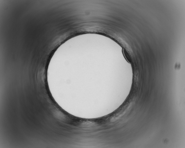 X0000102840397200809151109