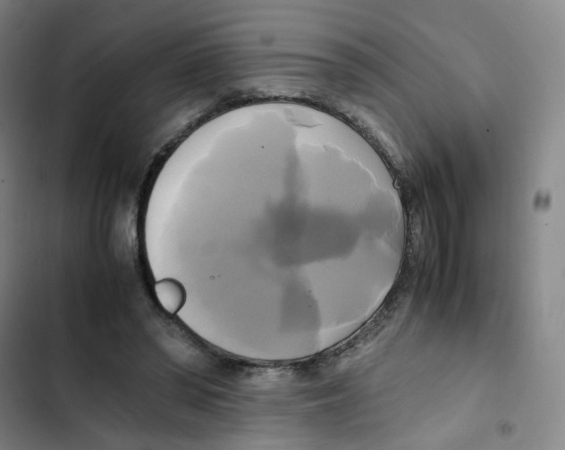 X0000102840398200809151109