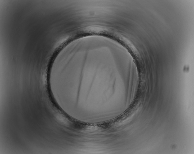 X0000102840399200809151109