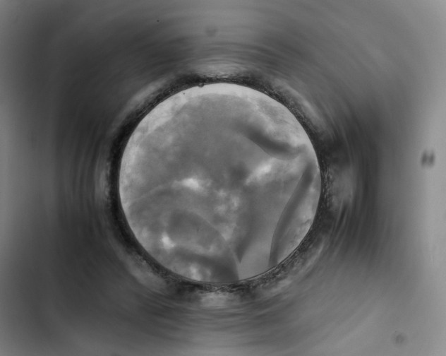 X0000102840400200809151109