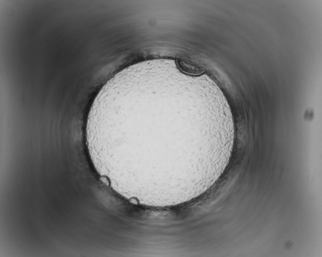 X0000102840401200809151109