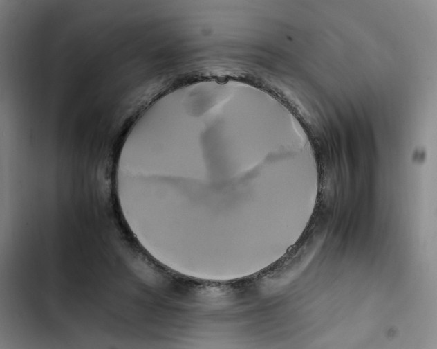 X0000102840402200809151109