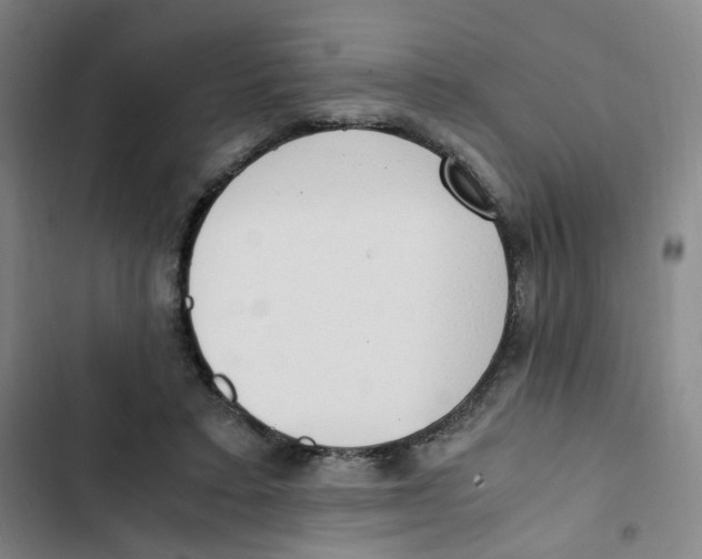 X0000102840403200809151109