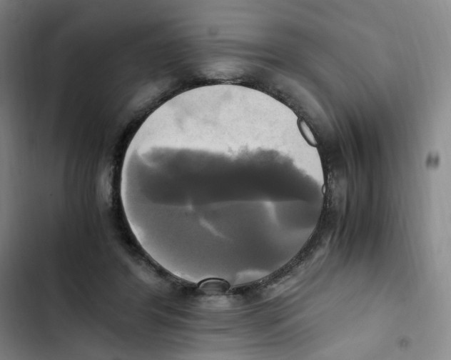 X0000102840404200809151109