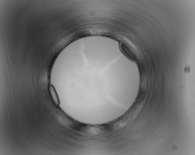 X0000102840405200809151109