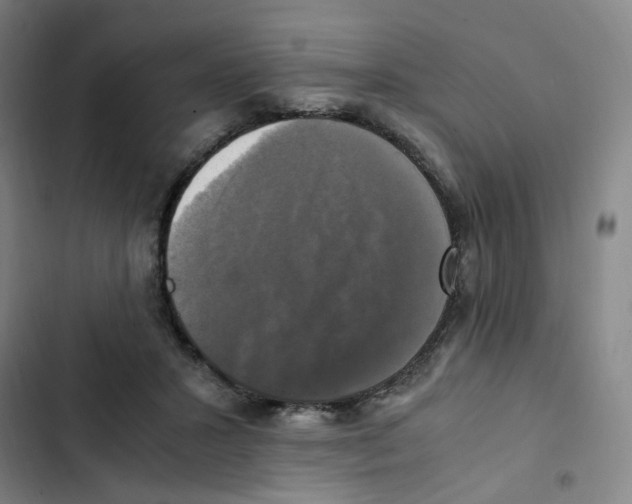 X0000102840407200809151109