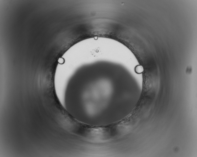 X0000102840411200809151109