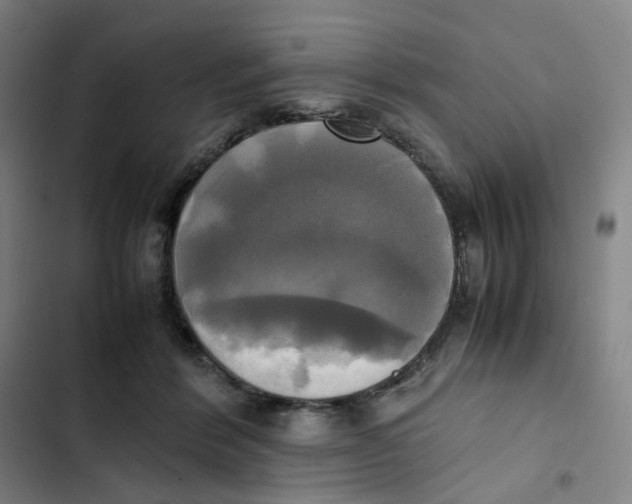 X0000102840412200809151109