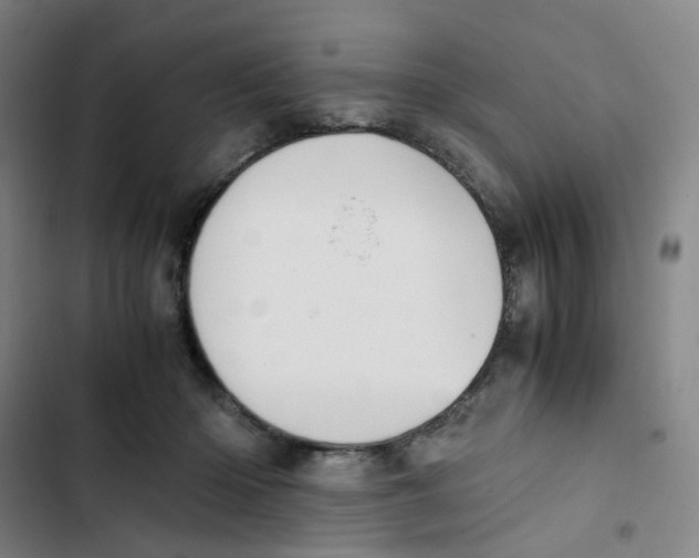 X0000102840414200809151109