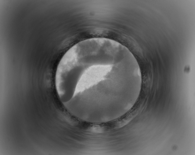 X0000102840416200809151108