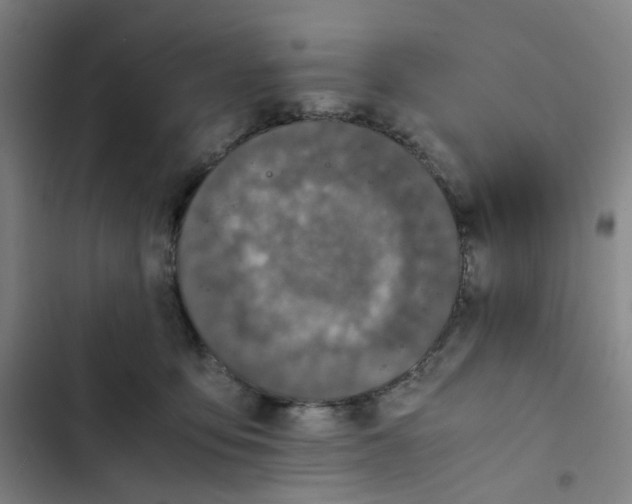 X0000102840419200809151108