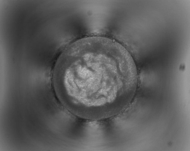 X0000102840423200809151108