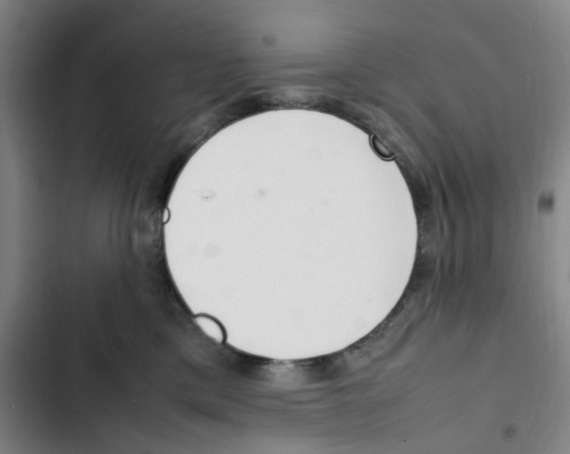 X0000102840425200809151108