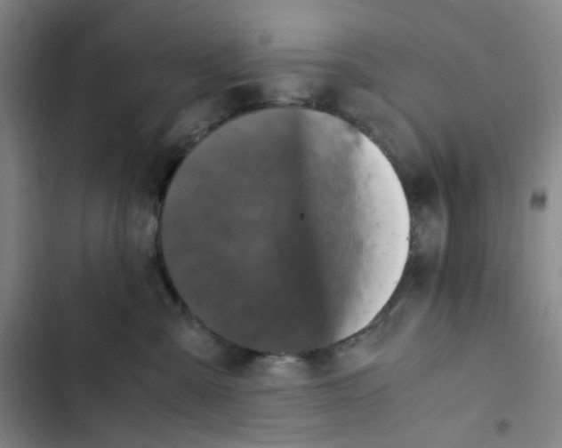 X0000102840427200809151108