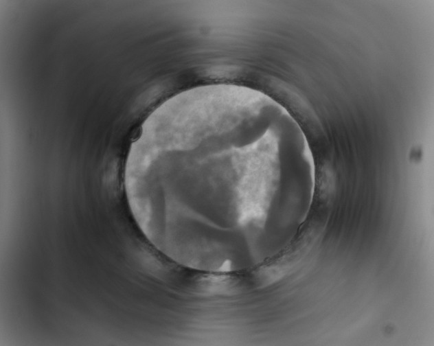 X0000102840428200809151108