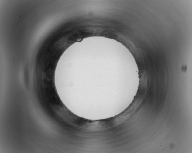 X0000102840430200809151108