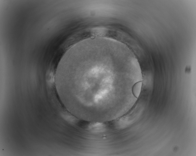 X0000102840431200809151108