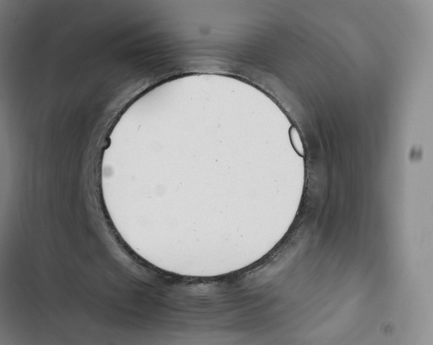 X0000102840433200809151108