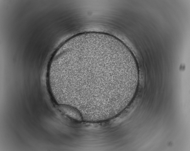 X0000102840434200809151108