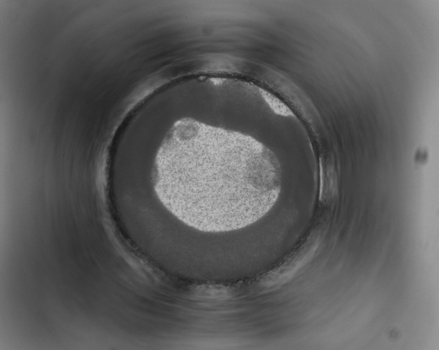 X0000102840435200809151108