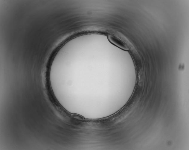 X0000102840436200809151108