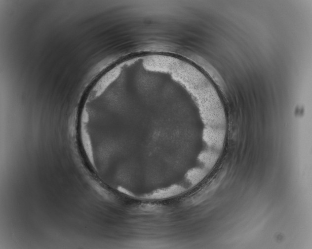 X0000102840437200809151108