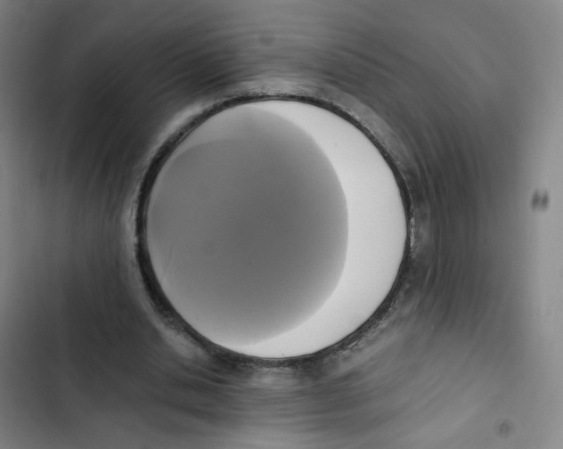 X0000102840438200809151108