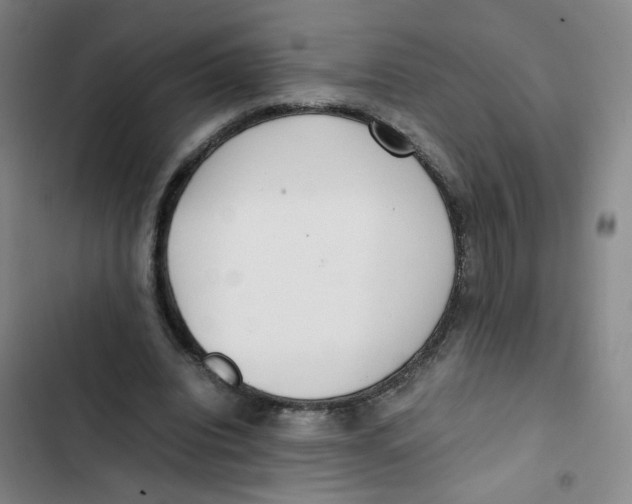 X0000102840440200809151108