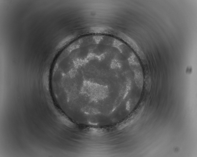 X0000102840442200809151108