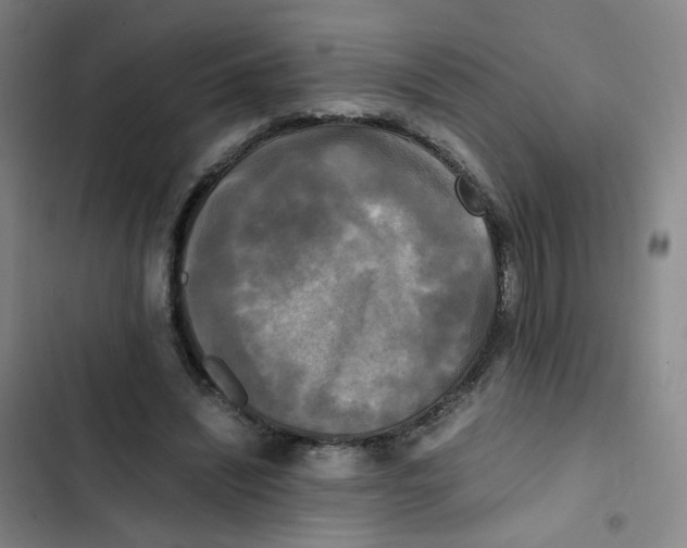 X0000102840444200809151108