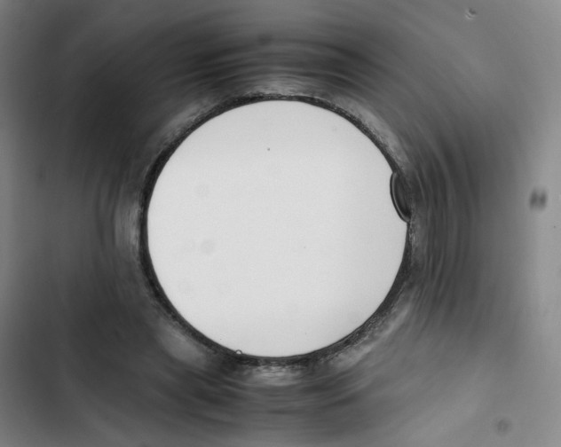 X0000102840445200809151108