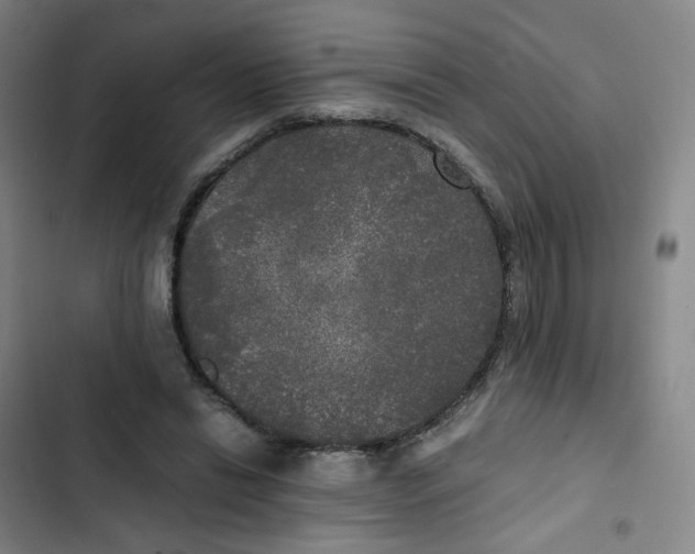 X0000102840446200809151108