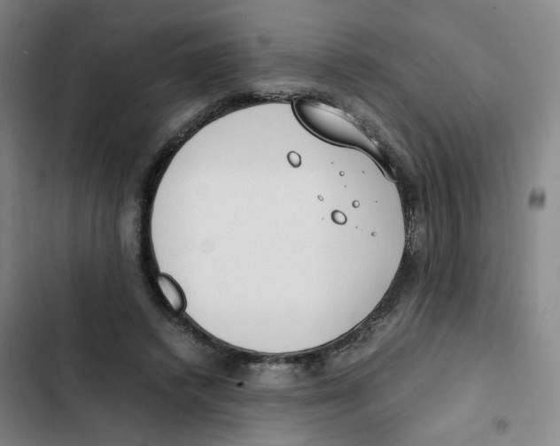 X0000102840448200809151108