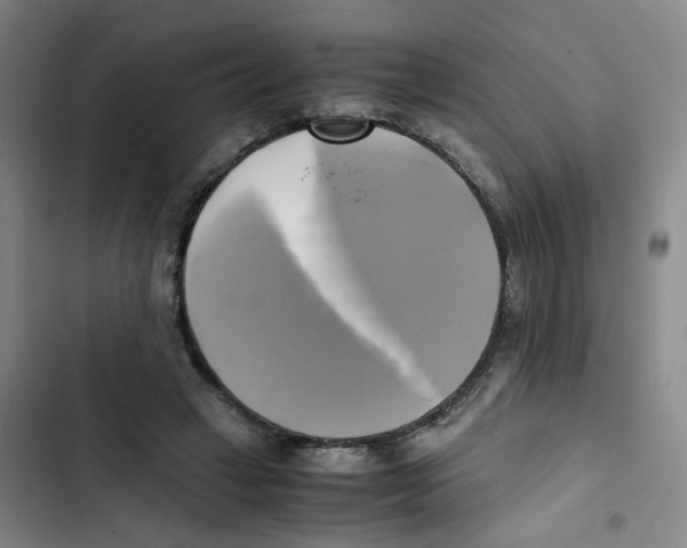 X0000102840449200809151108