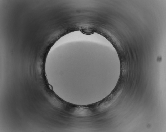 X0000102840451200809151108