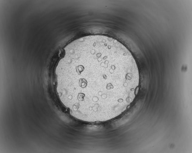 X0000102840453200809151108