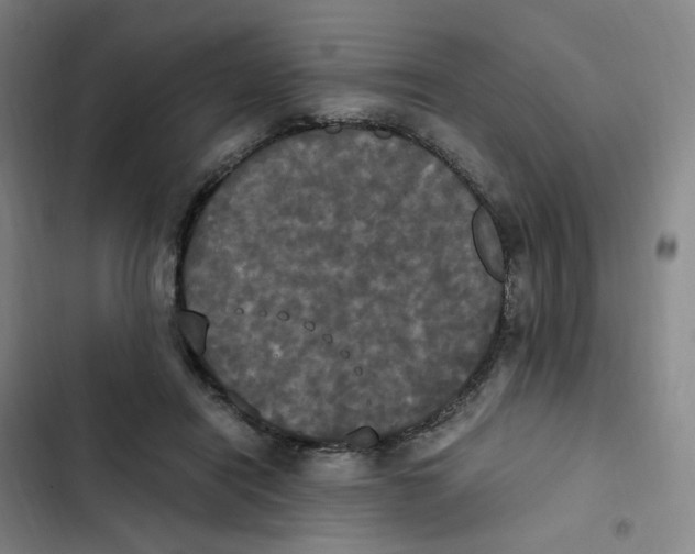 X0000102840454200809151108