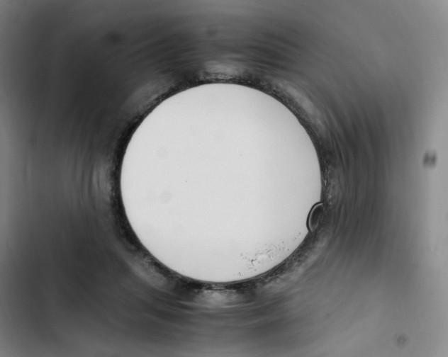 X0000102840455200809151108