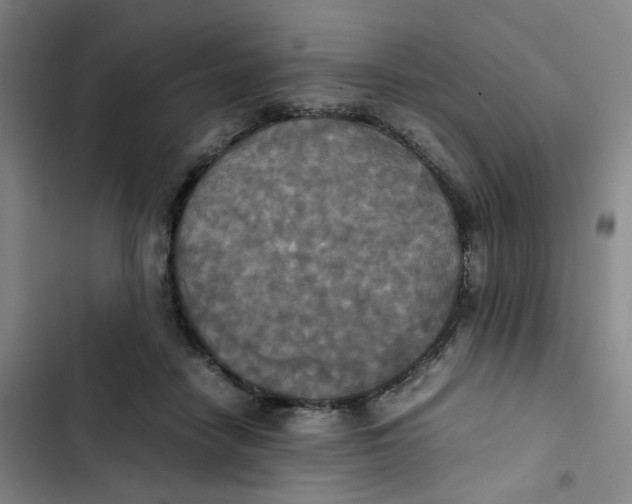 X0000102840458200809151108