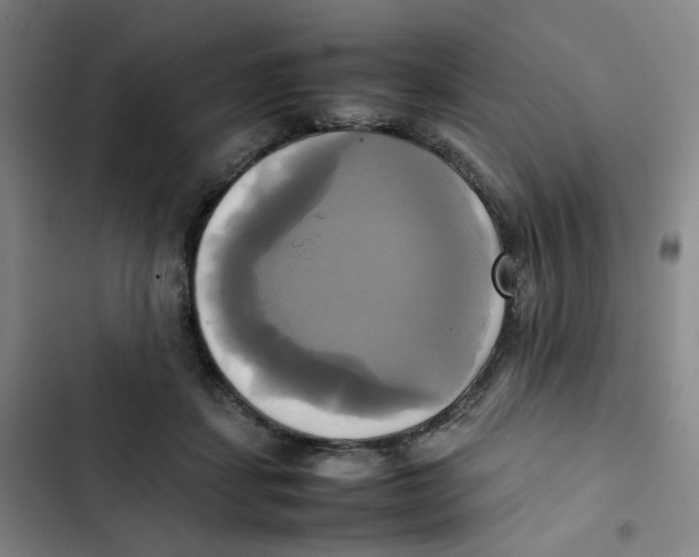 X0000102840459200809151108