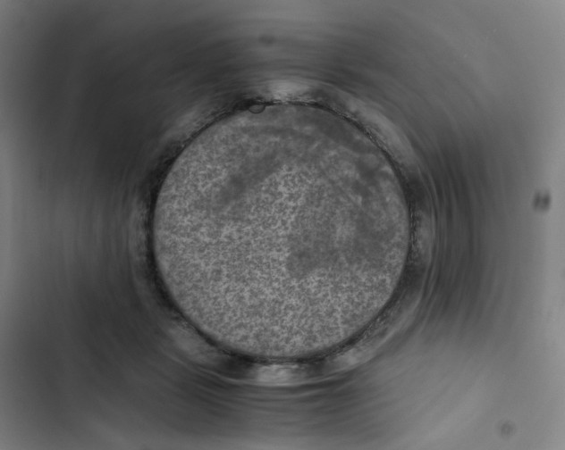 X0000102840461200809151108